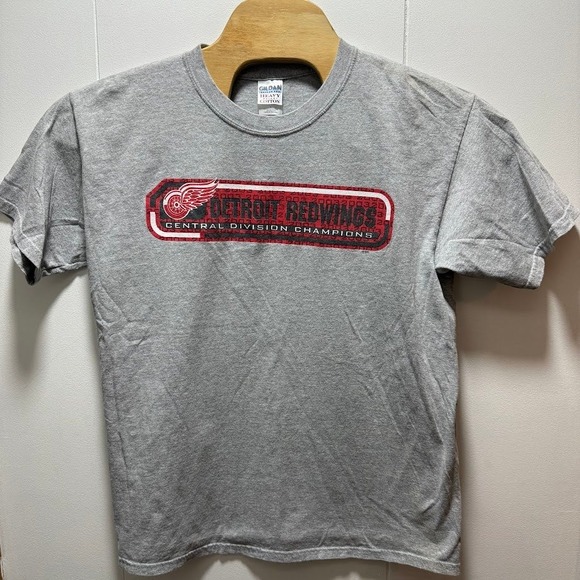 Gildan Other - Detroit Red‎ Wings Mens Gildan Heavy Cotton T Shirt Gray Size Large Vtg Y2K